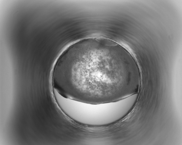 X0000096431392200801311423