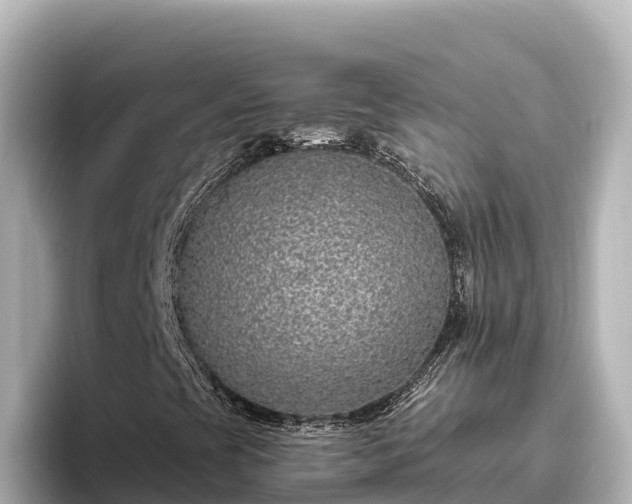 X0000096431393200801311423