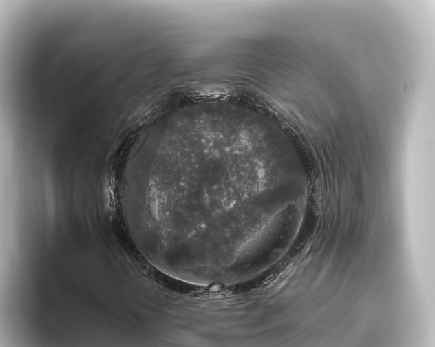 X0000096431394200801311423
