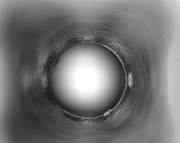 X0000096431395200801311423