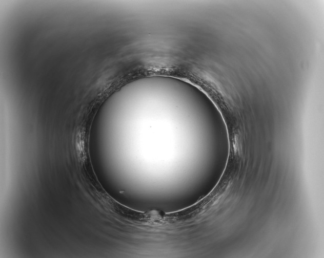 X0000096431396200801311423
