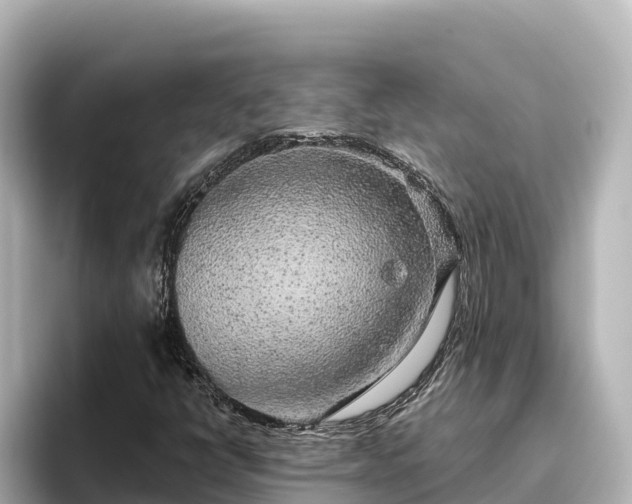 X0000096431398200801311423