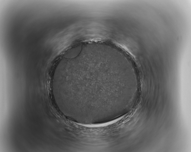 X0000096431399200801311423
