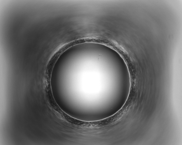 X0000096431400200801311423