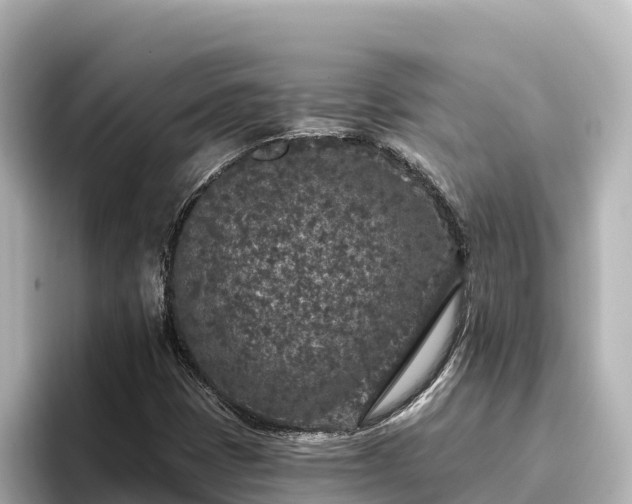 X0000096431401200801311423