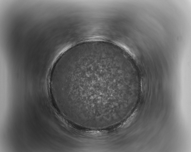 X0000096431405200801311423