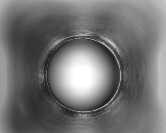 X0000096431407200801311423
