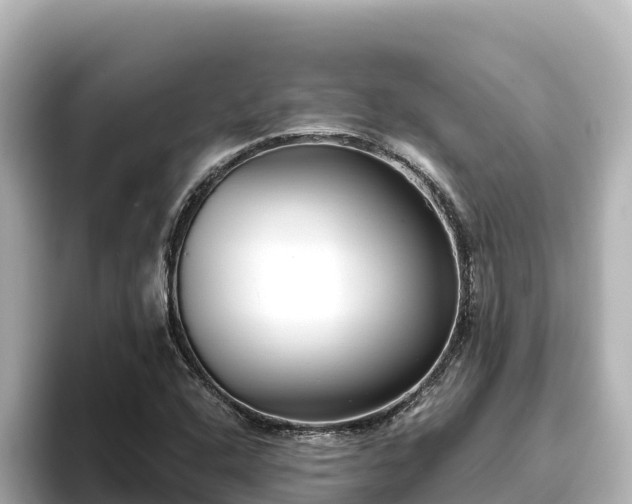 X0000096431408200801311423