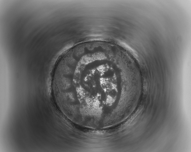 X0000096431411200801311423