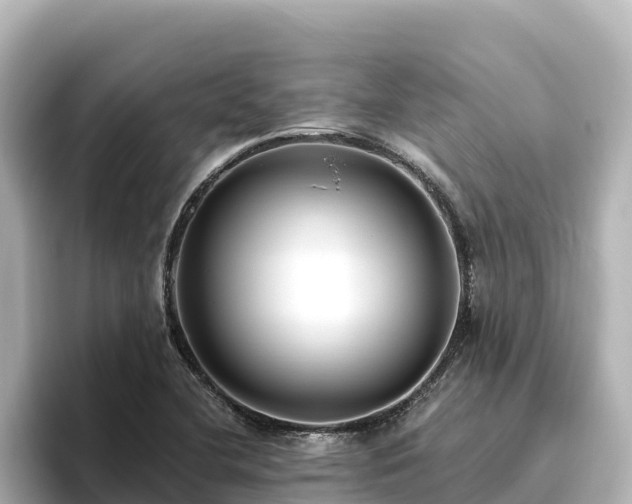 X0000096431412200801311423