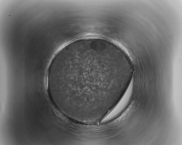 X0000096431413200801311423