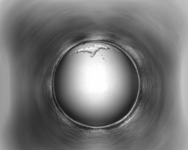 X0000096431417200801311423