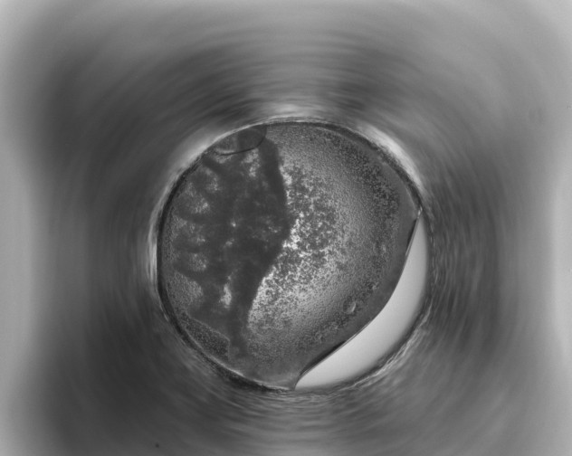 X0000096431419200801311423