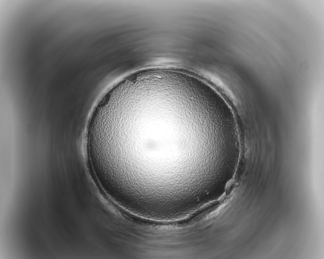 X0000096431421200801311423