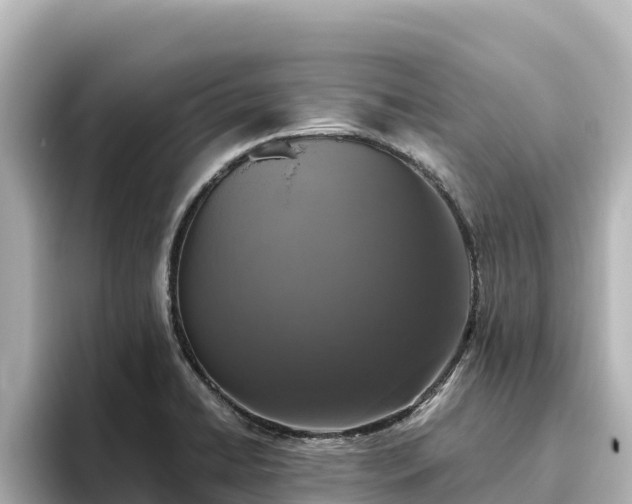 X0000096431422200801311423