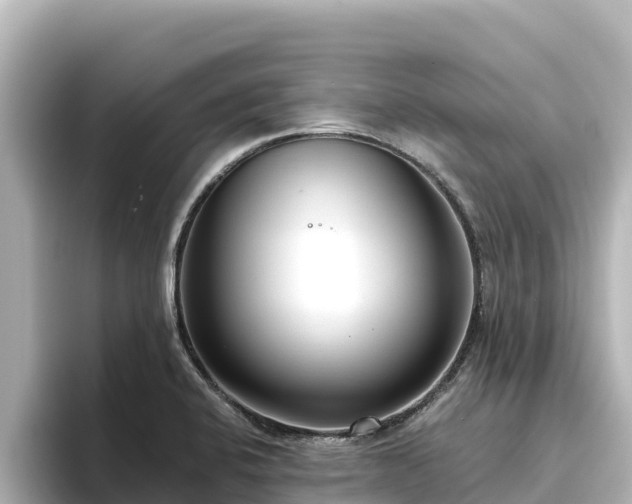X0000096431424200801311423