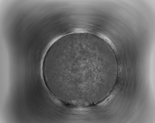 X0000096431427200801311423