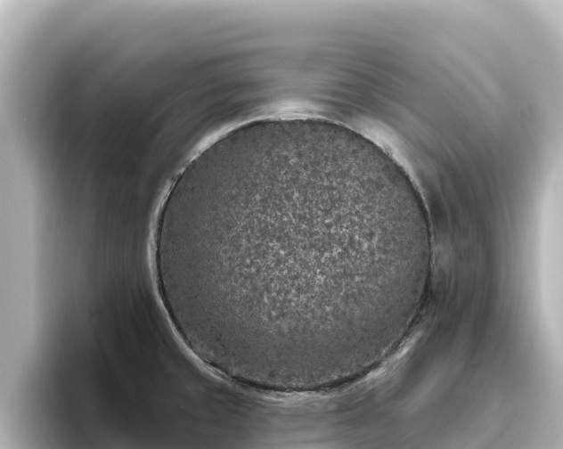 X0000096431429200801311423