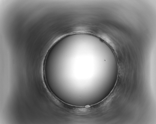 X0000096431431200801311423