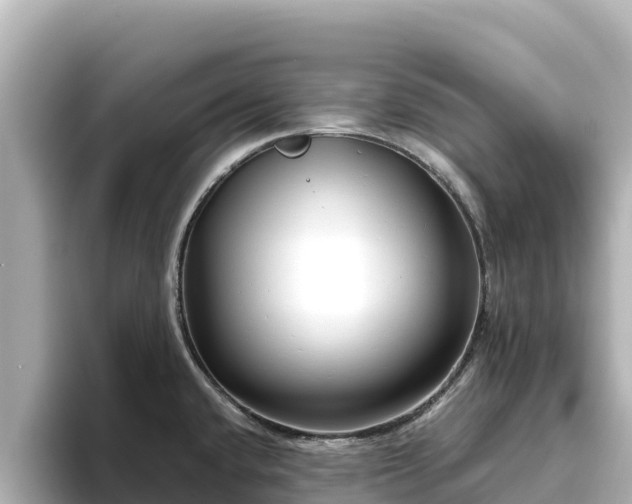 X0000096431432200801311423