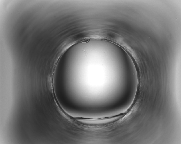 X0000096431433200801311423