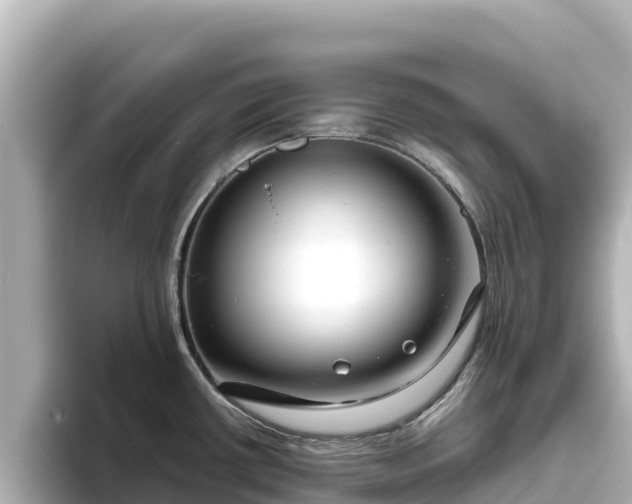 X0000096431434200801311423