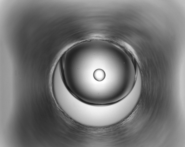 X0000096431435200801311423