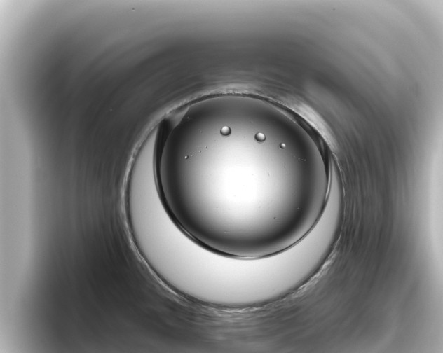 X0000096431436200801311423