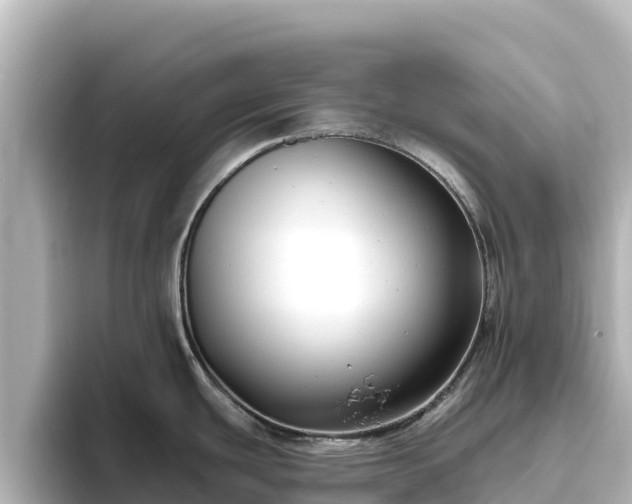 X0000096431439200801311423