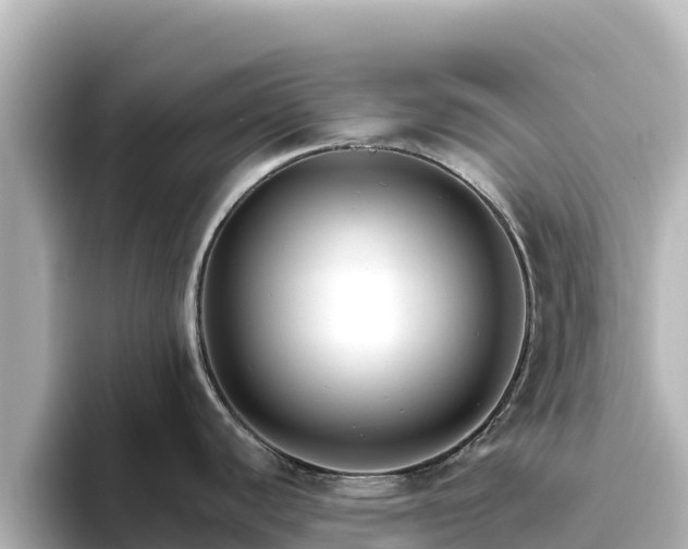 X0000096431440200801311423