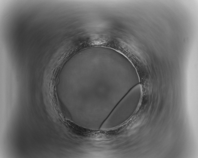 X0000096431441200801311423