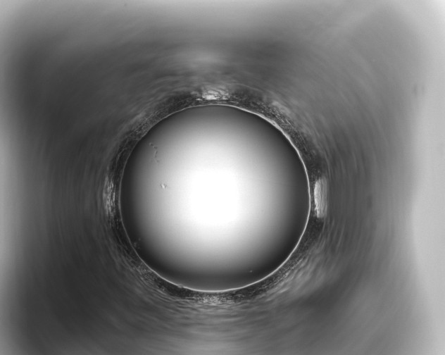 X0000096431443200801311423