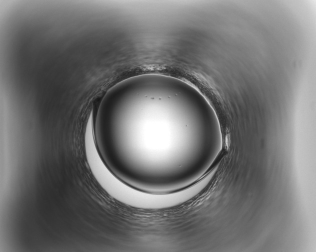 X0000096431444200801311423