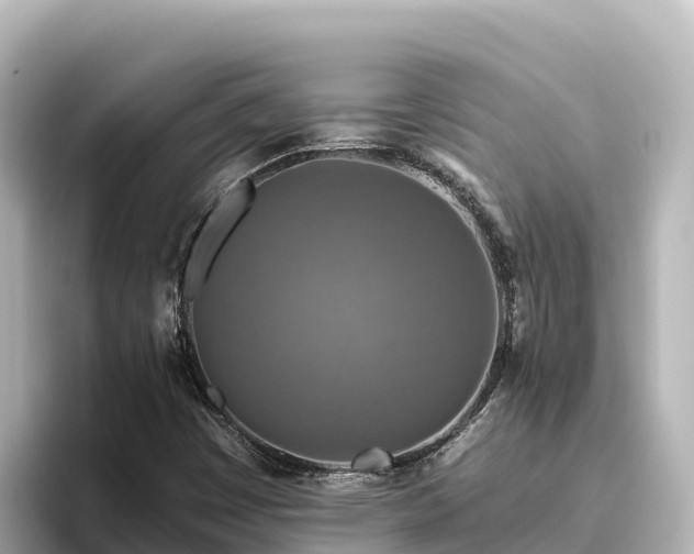 X0000096431449200801311423