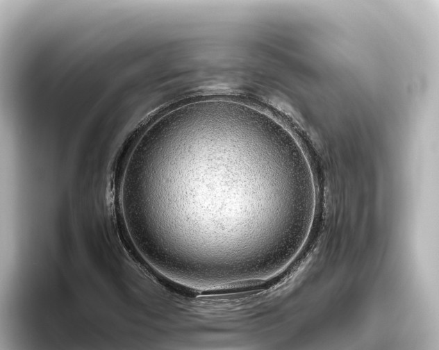 X0000096431450200801311423