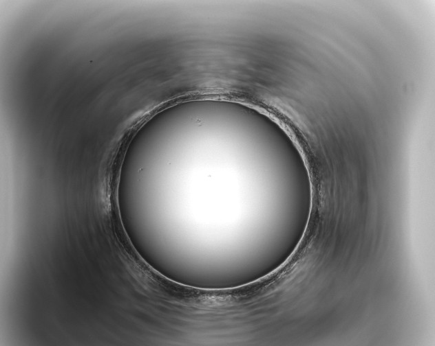 X0000096431451200801311423