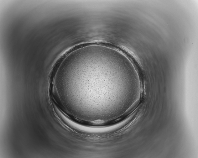 X0000096431452200801311423