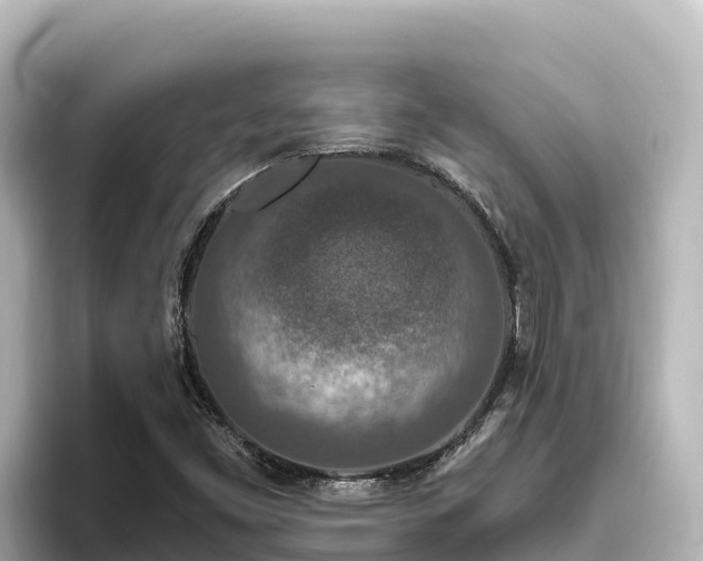 X0000096431453200801311423