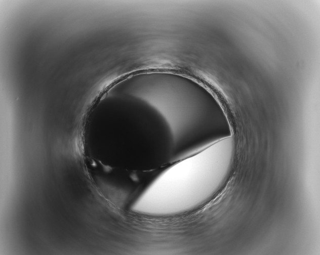 X0000096431455200801311423