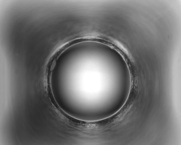 X0000096431456200801311423