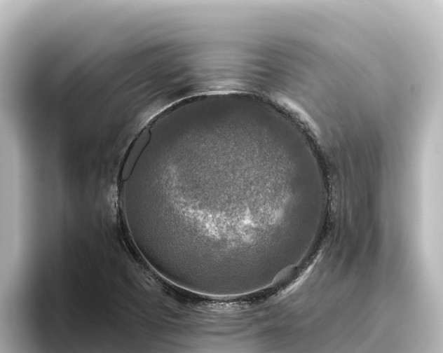 X0000096431457200801311423