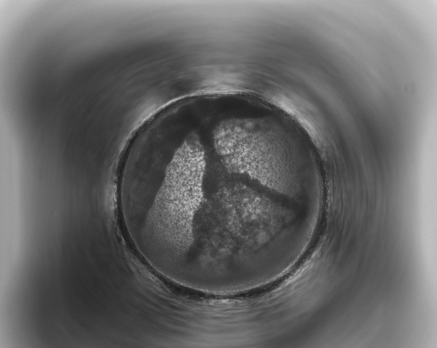 X0000096431459200801311423