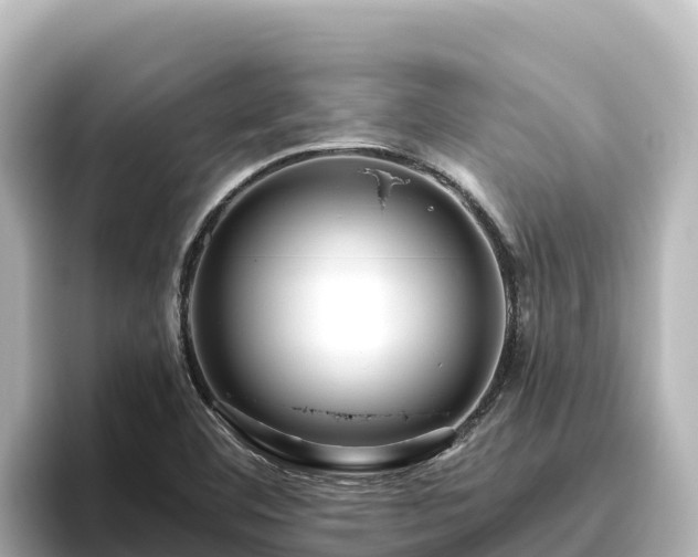 X0000096431460200801311423
