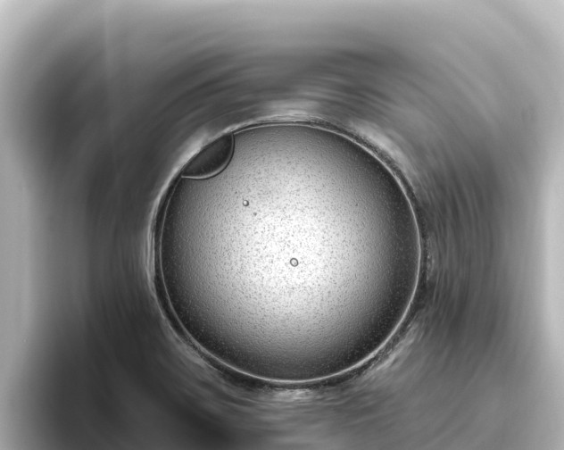 X0000096431467200801311422