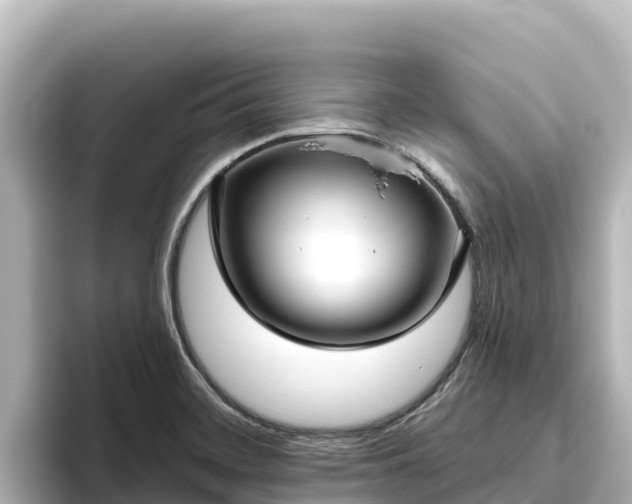 X0000096431468200801311422