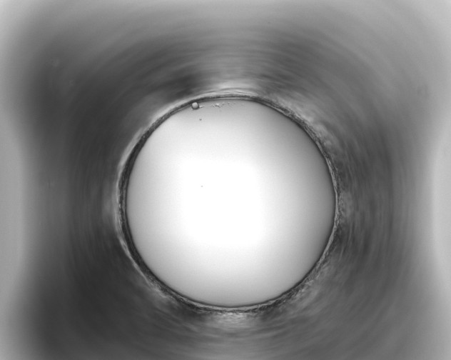 X0000096431470200801311422