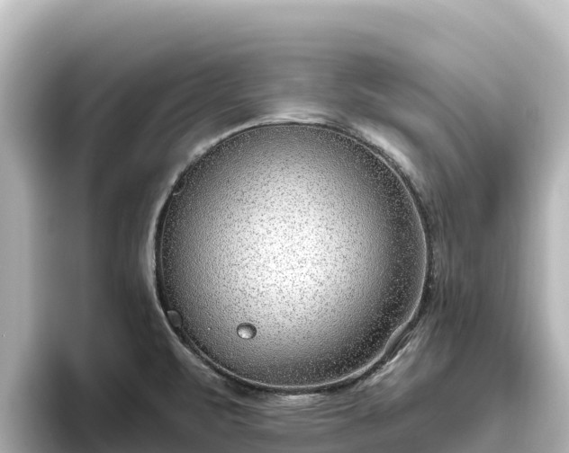 X0000096431471200801311422