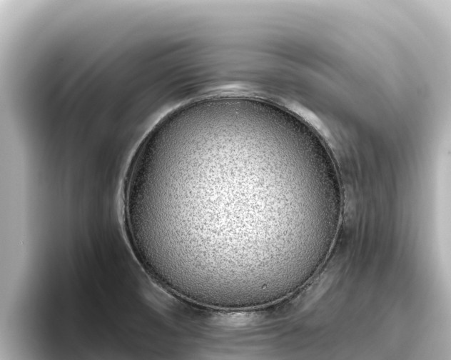 X0000096431474200801311422