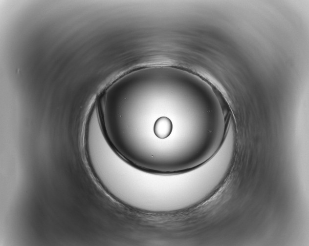 X0000096431477200801311422