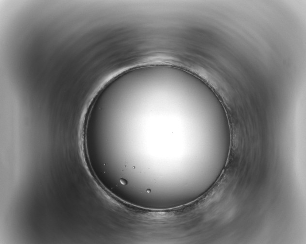 X0000096431478200801311422